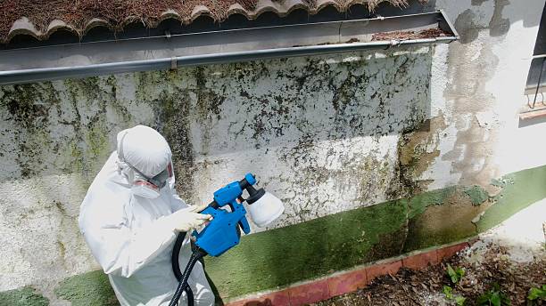 Top rated local Attic Mold Remediation specialists in Peach Bottom, PA